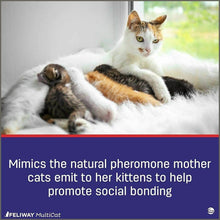 Load image into Gallery viewer, Feliway MultiCat Calming Diffuser Refill 1 pack