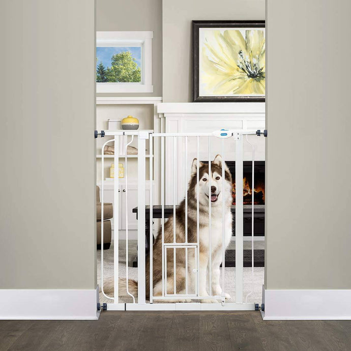 Carlson Pet Products 36-Inch Extra Tall Pet Gate - 