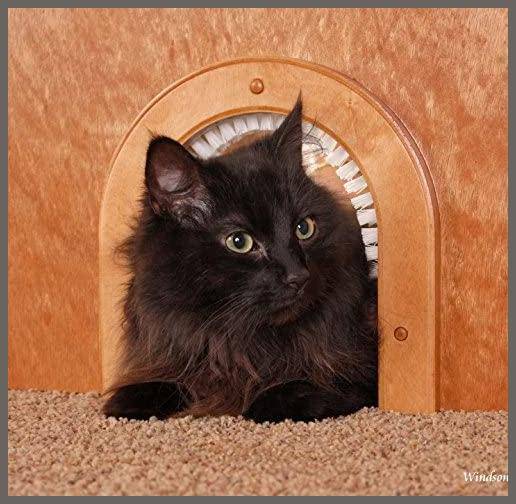 Cathole cat best sale door with brush