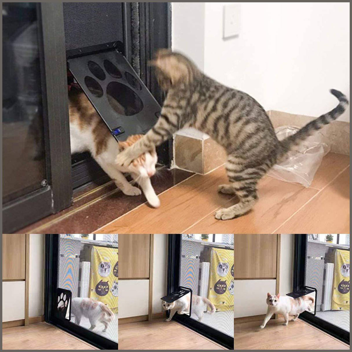 Cat door shop for window screen