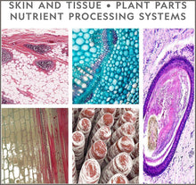 Load image into Gallery viewer, National Geographic Dual Microscope Science Lab -