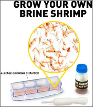 Load image into Gallery viewer, National Geographic Dual Microscope Science Lab -