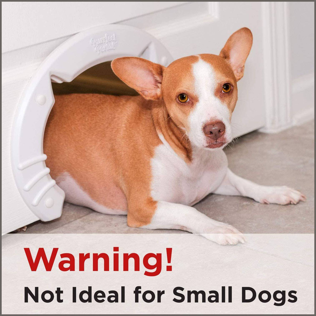 Purrfect Portal XL Pet Cat Door for Interior Doors Babylove supplies