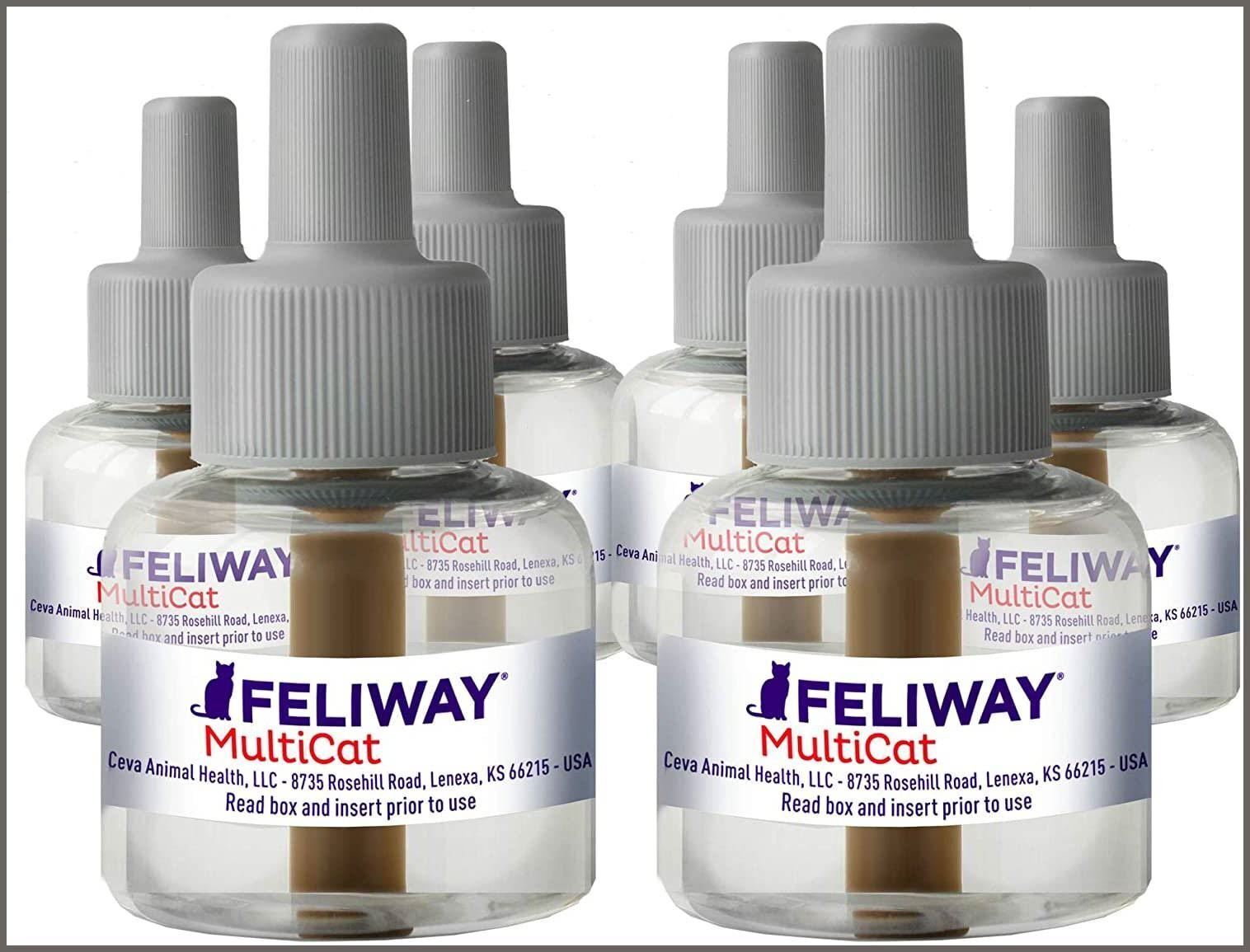 Feliway multicat refill 6 pack hotsell