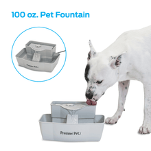 Load image into Gallery viewer, 100 oz. Pet Fountain Automatic Water Fountain for Dogs and Cats  Premier Pet - 
