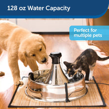 Load image into Gallery viewer, 128 oz Drinkwell Stainless Multi-Pet Fountain PetSafe - 
