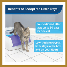 Load image into Gallery viewer, 3-Pack ScoopFree Self-Cleaning Cat Litter Box Tray PetSafe - 
