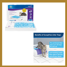 Load image into Gallery viewer, 3-Pack ScoopFree Self-Cleaning Cat Litter Box Tray PetSafe - 
