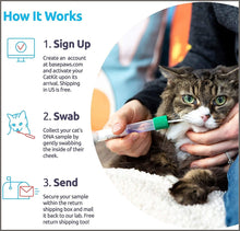 Load image into Gallery viewer, Basepaws Cat DNA Test Kit | AS SEEN ON Shark Tank - 
