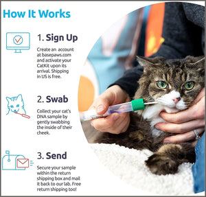 Basepaws Cat DNA Test Kit | AS SEEN ON Shark Tank - 