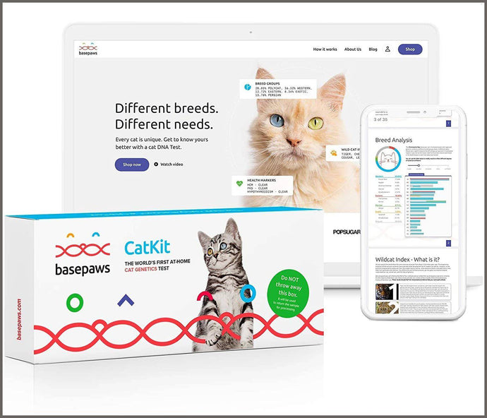 Basepaws Cat DNA Test Kit | AS SEEN ON Shark Tank - 