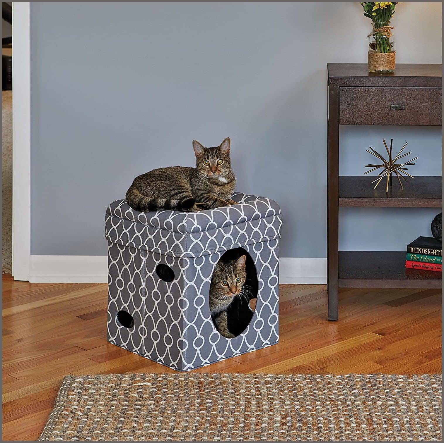 Cat cube clearance condo