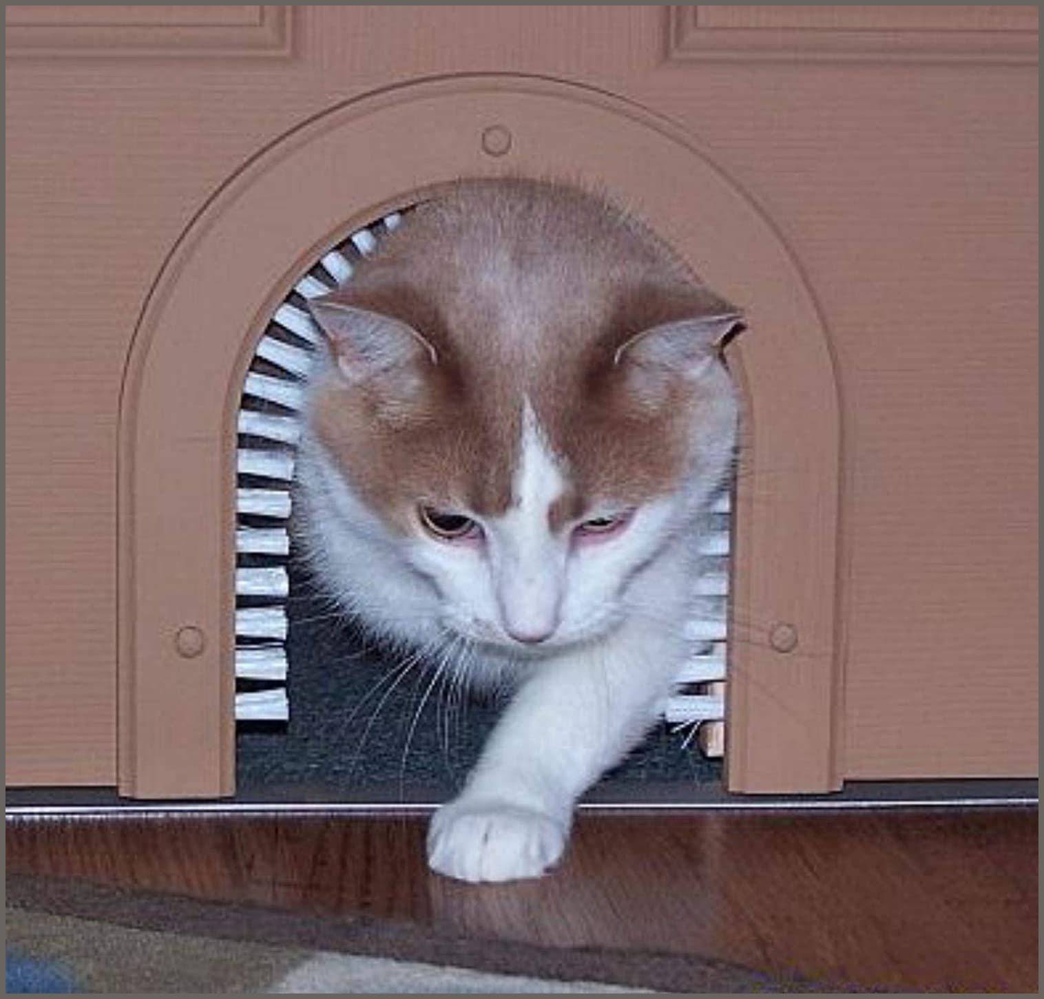 Cat door with outlet brush