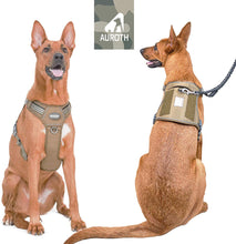 Load image into Gallery viewer, FIVEWOODY Tactical Service Dog Harness Training No Pulling Front Clip - 
