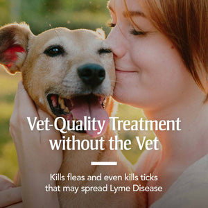 Flea & Tick Prevention for Small Dogs  PetArmor Plus 4-22 lbs 6 Treatments - 