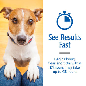 Flea & Tick Prevention for Small Dogs  PetArmor Plus 4-22 lbs 6 Treatments - 