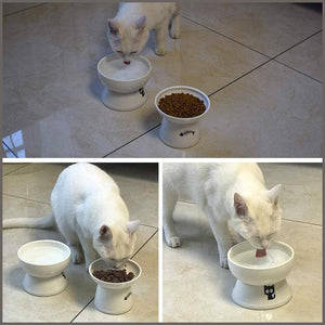 FOREYY Raised Cat Food and Water Bowl Set, Elevated Ceramic Cat Feeder Bowls - 