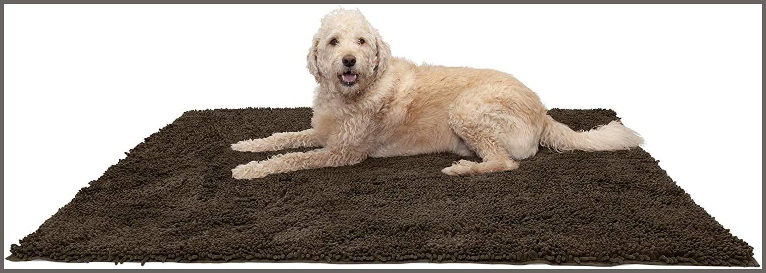 Absorbent pet rug best sale