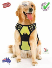 Load image into Gallery viewer, Dog Harness Rabbitgoo Front Range  Adjustable Outdoor Easy Control High quality - g
