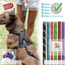 Load image into Gallery viewer, Dog Lead Durable Chew Resistant Slip Lead Rope Padded - g
