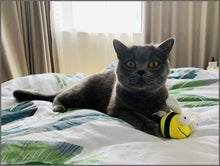 Load image into Gallery viewer, Gigwi Interactive Cat Toys Animal Sound Bird/Cricket/Bee - 
