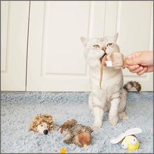 Load image into Gallery viewer, Gigwi Interactive Cat Toys Animal Sound Bird/Cricket/Bee - 
