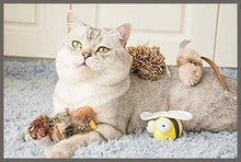 Load image into Gallery viewer, Gigwi Interactive Cat Toys Animal Sound Bird/Cricket/Bee - 
