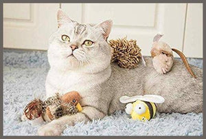 Gigwi Interactive Cat Toys Animal Sound Bird/Cricket/Bee - 