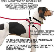 Load image into Gallery viewer, Harness Lead Escape Resistant, Reduce Pull, Dog Harness - 
