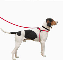 Load image into Gallery viewer, Harness Lead Escape Resistant, Reduce Pull, Dog Harness - 
