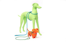 Load image into Gallery viewer, Harness Lead Escape Resistant, Reduce Pull, Dog Harness - 
