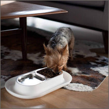 Load image into Gallery viewer, Hepper Nomnom Modern Cat and Dog Dish with Stainless Steel Bowls - 
