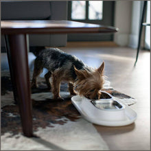 Load image into Gallery viewer, Hepper Nomnom Modern Cat and Dog Dish with Stainless Steel Bowls - 
