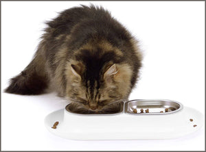 Hepper Nomnom Modern Cat and Dog Dish with Stainless Steel Bowls - 