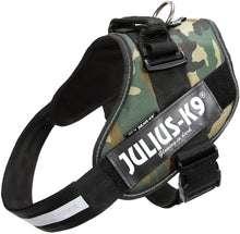 Load image into Gallery viewer, Julius-K9, 16IDC-C-1, IDC Powerharness, Dog Harness, Size: 1, Camouflage - 
