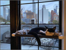 Load image into Gallery viewer, Kitty Cot Original World&#39;s Best Cat Perch - 
