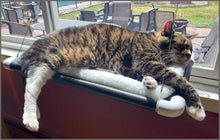 Load image into Gallery viewer, Kitty Cot Original World&#39;s Best Cat Perch - 
