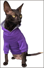 Load image into Gallery viewer, Kotomoda Sphynx Cat&#39;s Hoodie InPurple Naked Cat Hairless Cat Clothes (SS) - 
