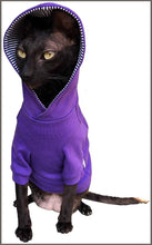 Load image into Gallery viewer, Kotomoda Sphynx Cat&#39;s Hoodie InPurple Naked Cat Hairless Cat Clothes (SS) - 
