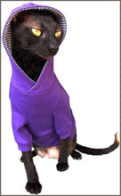 Load image into Gallery viewer, Kotomoda Sphynx Cat&#39;s Hoodie InPurple Naked Cat Hairless Cat Clothes (SS) - 
