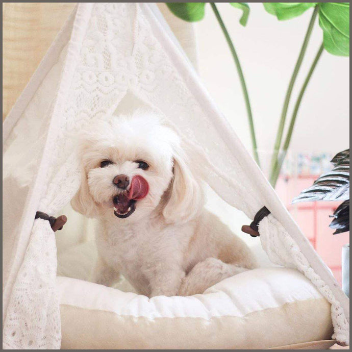 little dove Pet Teepee Dog(Puppy) & Cat Bed - Portable Pet Tents - 