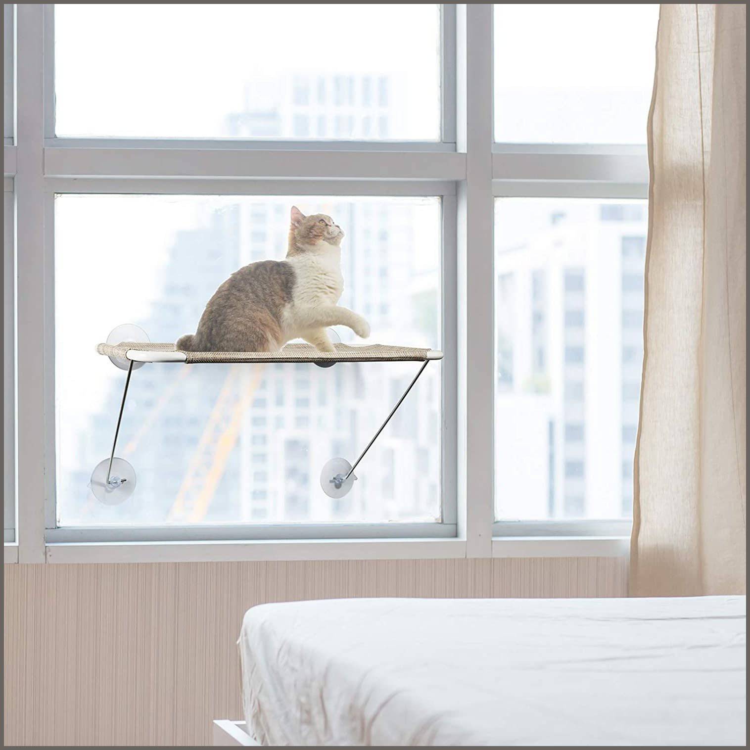  Cat Window Perches - Cat Window Perches / Cat Beds, Bedding &  Furniture: Pet Supplies