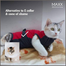 Load image into Gallery viewer, MAXX CAT E Collar Alternative Medical Pet Clothing Recovery Suit for Cats &amp; Dogs After Surgery - 
