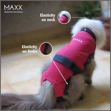 Load image into Gallery viewer, MAXX CAT E Collar Alternative Medical Pet Clothing Recovery Suit for Cats &amp; Dogs After Surgery - 
