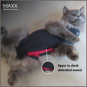 MAXX CAT E Collar Alternative Medical Pet Clothing Recovery Suit for Cats & Dogs After Surgery - 