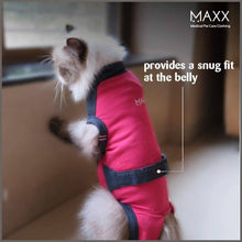 Load image into Gallery viewer, MAXX CAT E Collar Alternative Medical Pet Clothing Recovery Suit for Cats &amp; Dogs After Surgery - 
