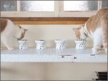 Load image into Gallery viewer, Necoichi Raised Cat Food and Water Bowl Set - 
