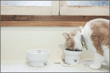 Load image into Gallery viewer, Necoichi Raised Cat Food and Water Bowl Set - 
