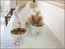 Load image into Gallery viewer, Necoichi Raised Cat Food and Water Bowl Set - 
