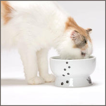 Load image into Gallery viewer, Necoichi Raised Cat Food and Water Bowl Set - 
